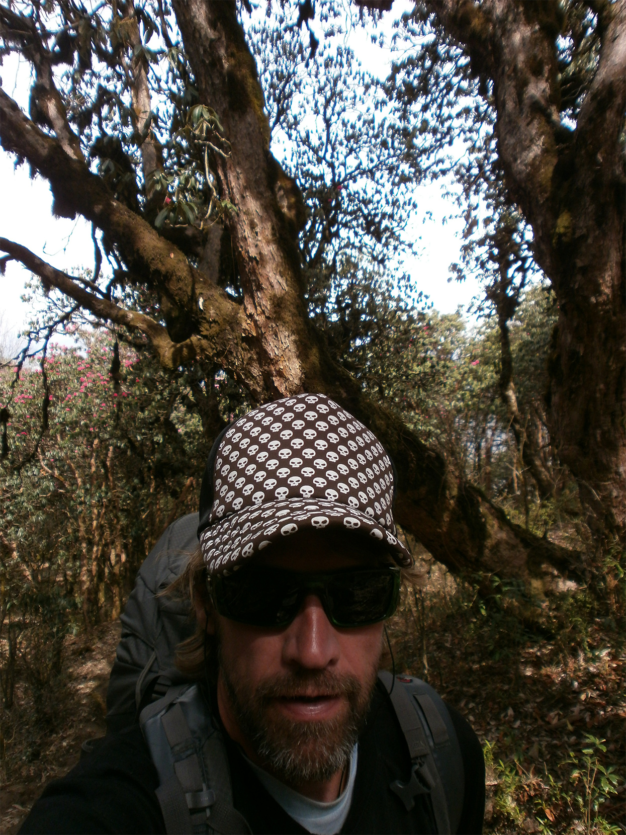 Annapurna trek P3242095