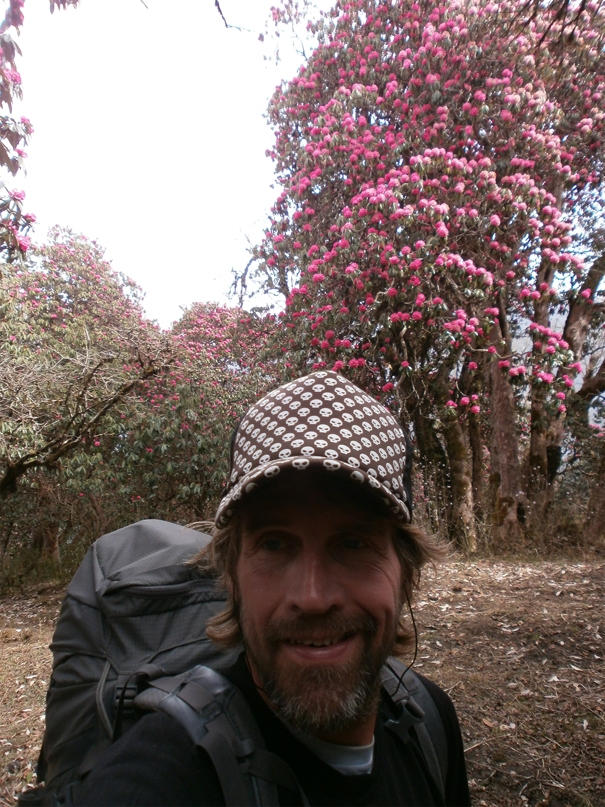 Annapurna trek P3242109